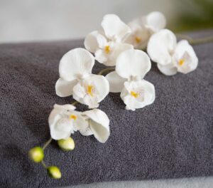 LR STEPHANIE RAJPURA 011